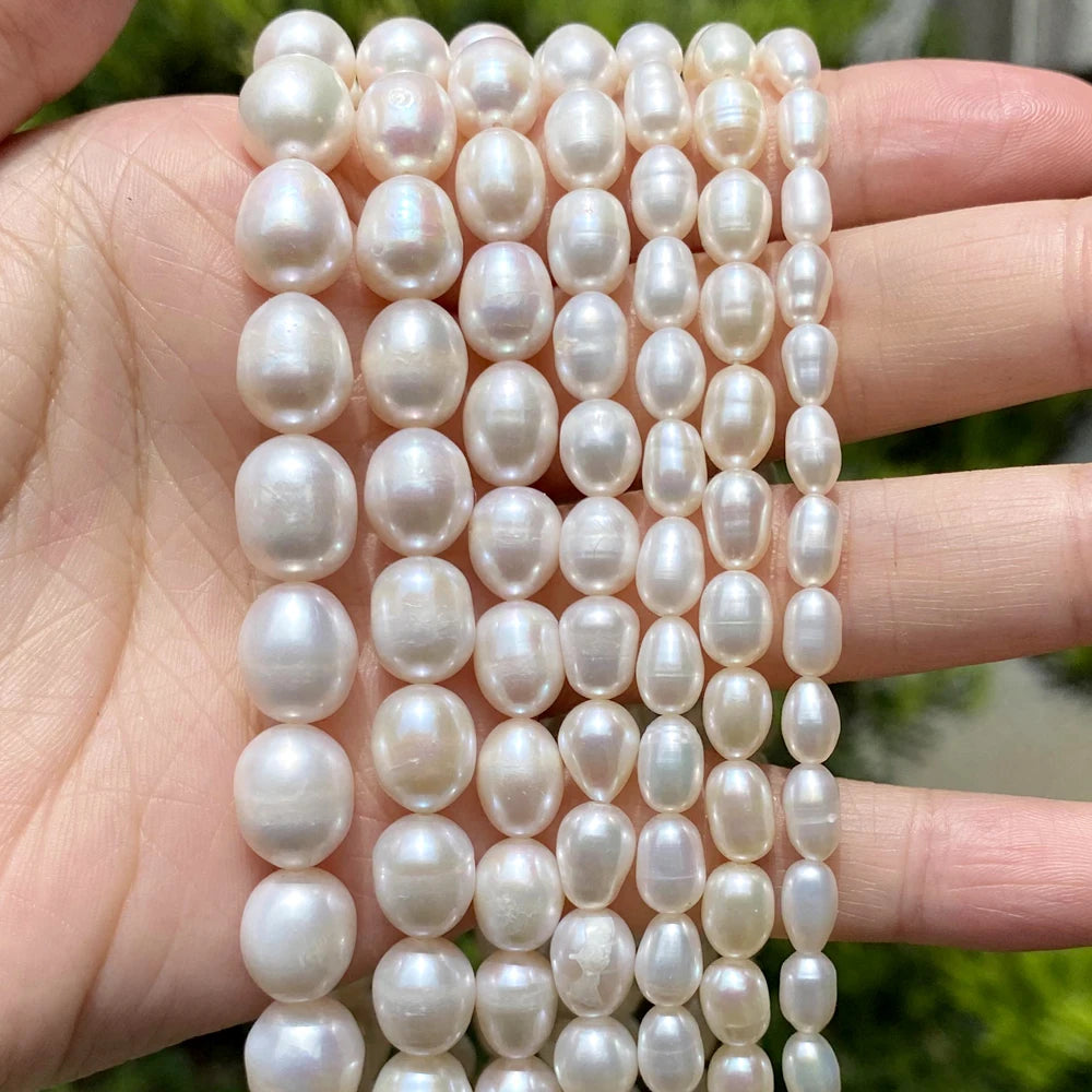 45566843257089|45566843322625|45566843355393|45566843388161|45566843453697|45566843486465|45566843519233