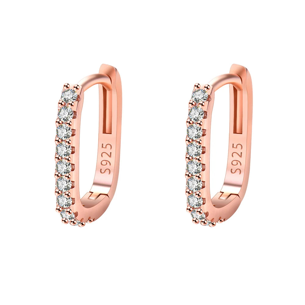 925 Sterling Silver Crystal Jewelry Fashion Zircon Circle Hoop Earrings For Woman New XY0179