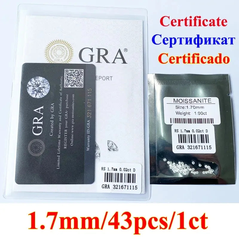 45595776024833